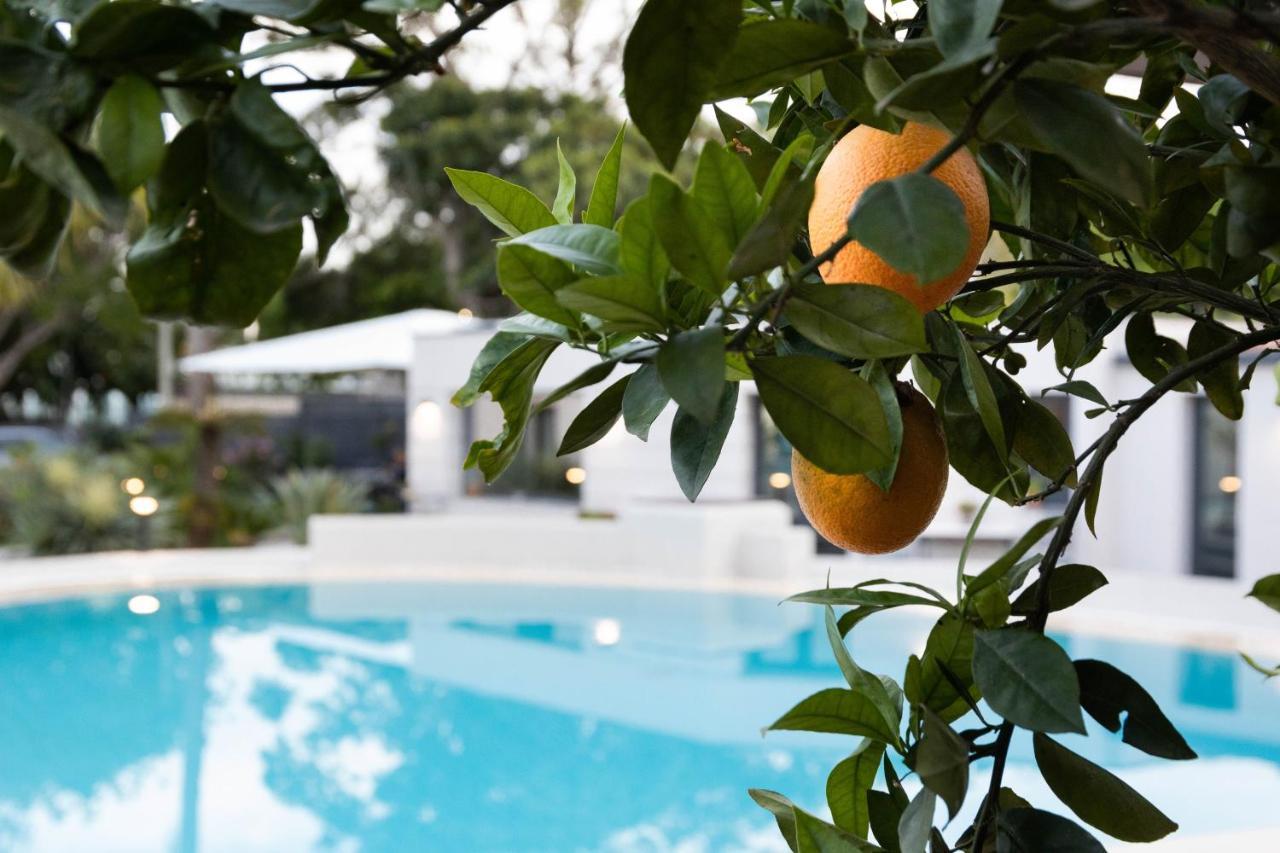 Villa Masetta - Luxury Suites 팔레르모 외부 사진